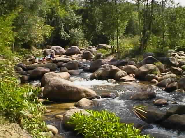 以下是文冬市区人口的情况