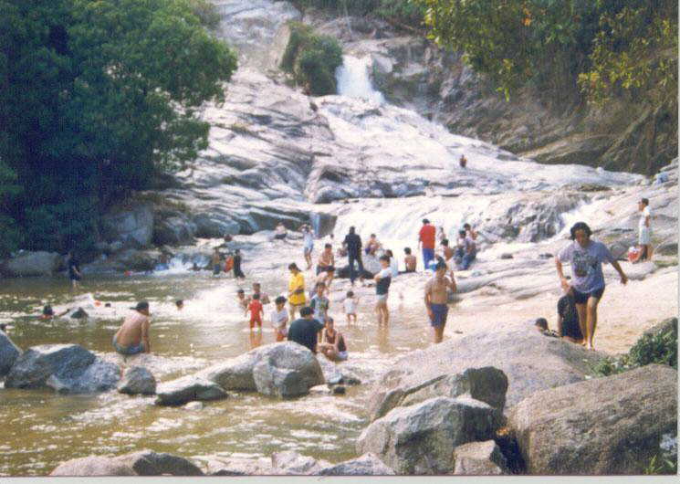 以下是文冬市区人口的情况